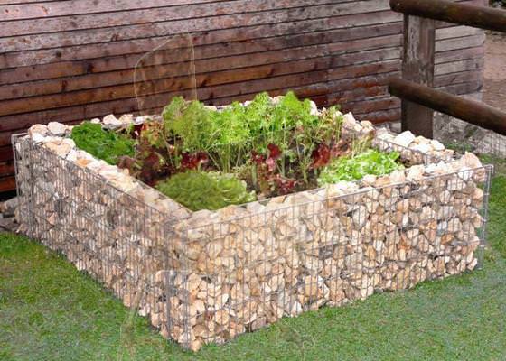 gabion raised bed