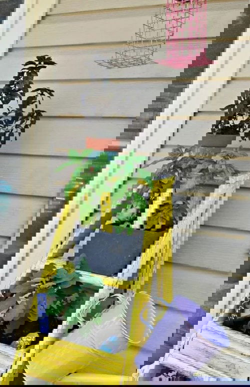 Insanely Instant Ideas to Decorate Your Garden 6