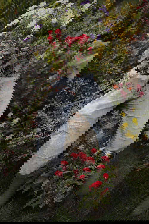 How to Use Common Household Things in Your Garden 13