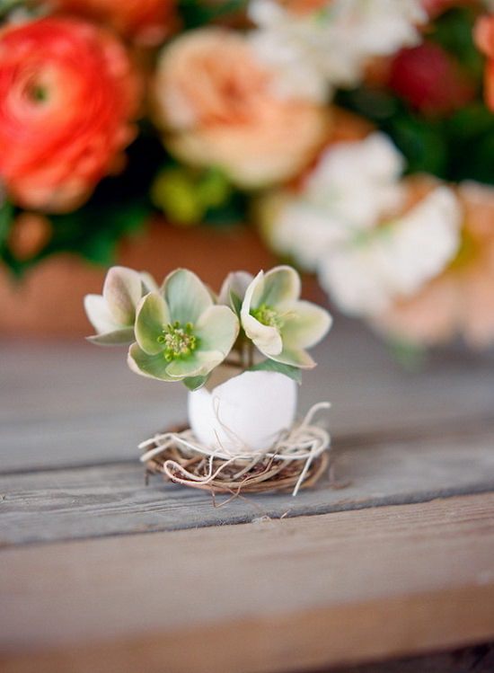 DIY Eggshell Ideas for you