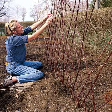 Garden Projects Using Sticks and Twigs 3