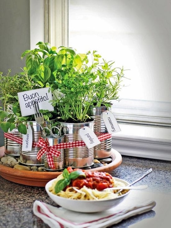 diy window herb garden on kitchen countertop