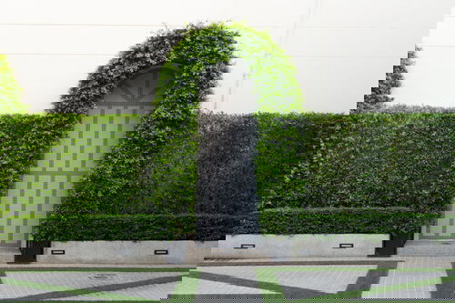 Best Entrance Plants Pictures 9