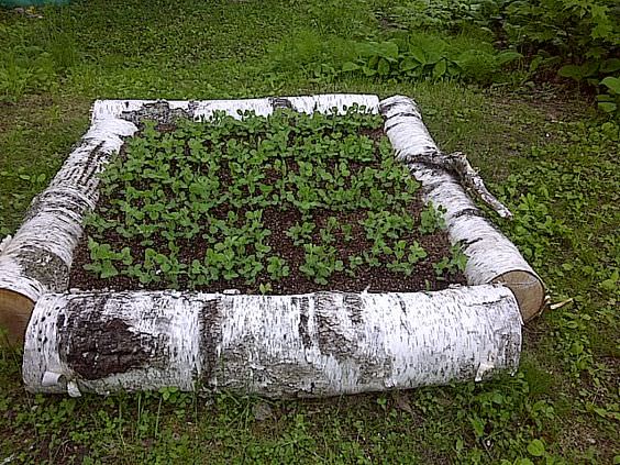 raised bed ideas