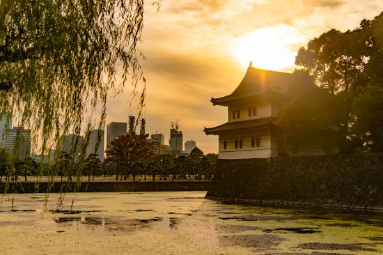 Best botanical gardens in the world