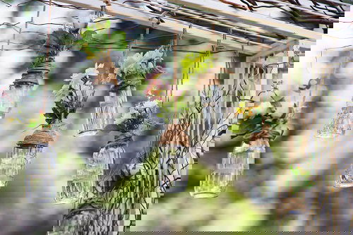 Insanely Instant Ideas to Decorate Your Garden 18