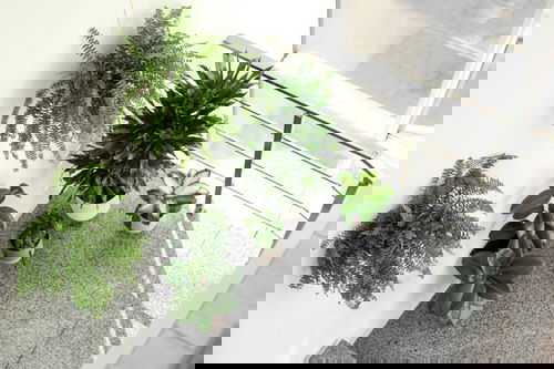 Indoor Garden on the Staircase 26