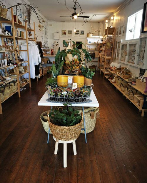 Best of Indoor Plant Décor on Instagram 5