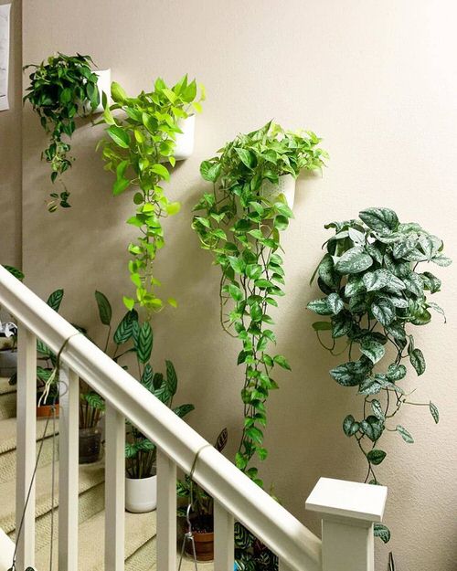 Artistic Plant Wall Art Ideas for Home DÃ©cor6
