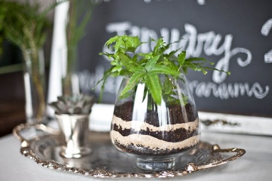  Vintage Terrarium Idea