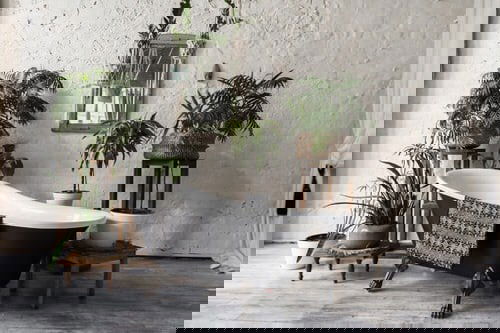 Pin Worthy Houseplant Pictures 29