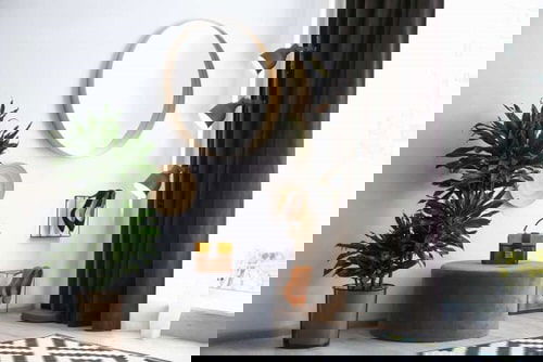 Best Insta Worthy Photos of House Plants 23