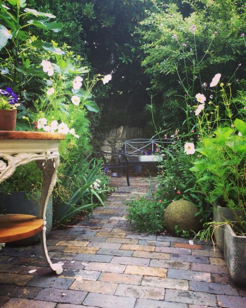 Beautiful Courtyard Garden Pictures 10