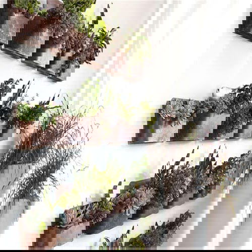 Artistic Plant Wall Art Ideas for Home DÃ©cor7