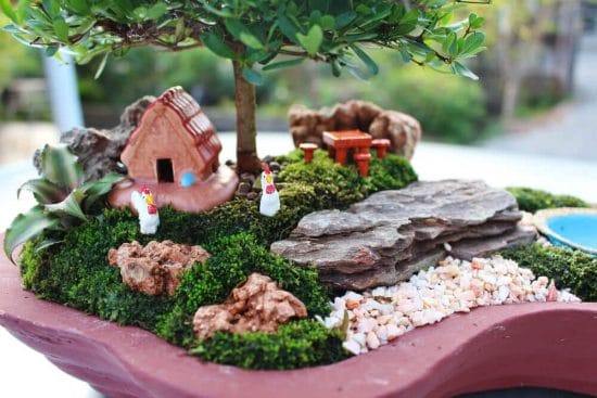 Tiny Tabletop Garden Ideas 6