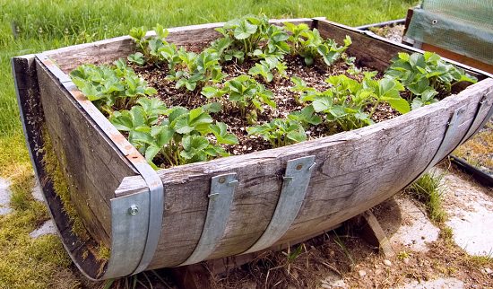 17 DIY Wine Barrel Planter Ideas