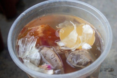 DIY Fertilizer Recipes from Food Scraps & Kitchen Leftovers 3