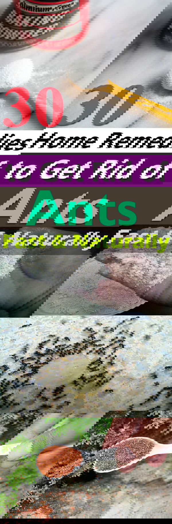 If you don't want to see ants crawling in your home and garden. Try one of these 30 Natural Home Remedies to Get Rid of Ants!