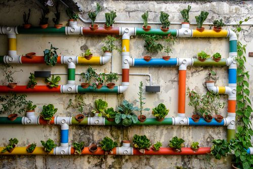 Rainbow Vertical Garden Ideas 3