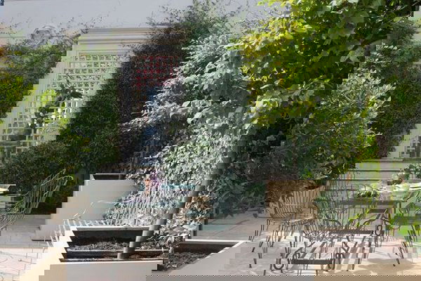 terrace garden tips 6