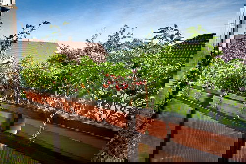 Edible Balcony Gardens 7