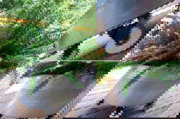 Movable Container Garden