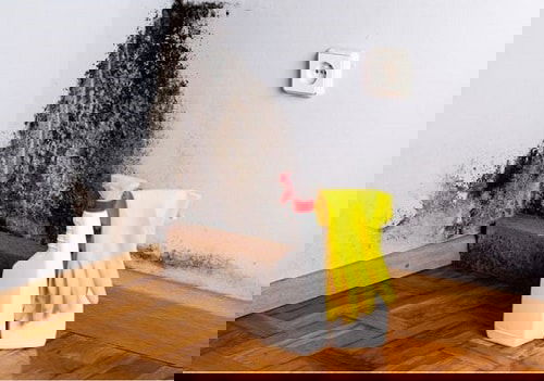 Pinterest Garden Hacks 6