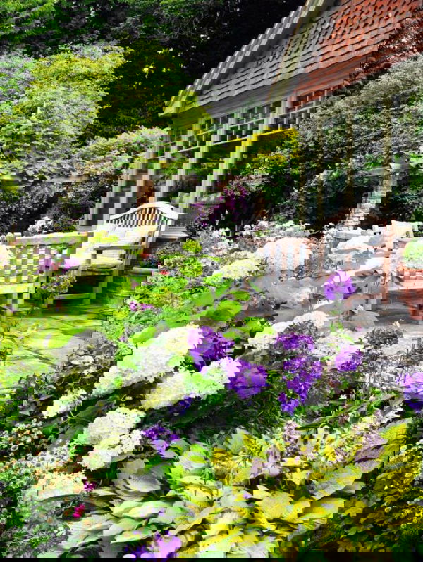 landscaping with hydrangea (1)_mini