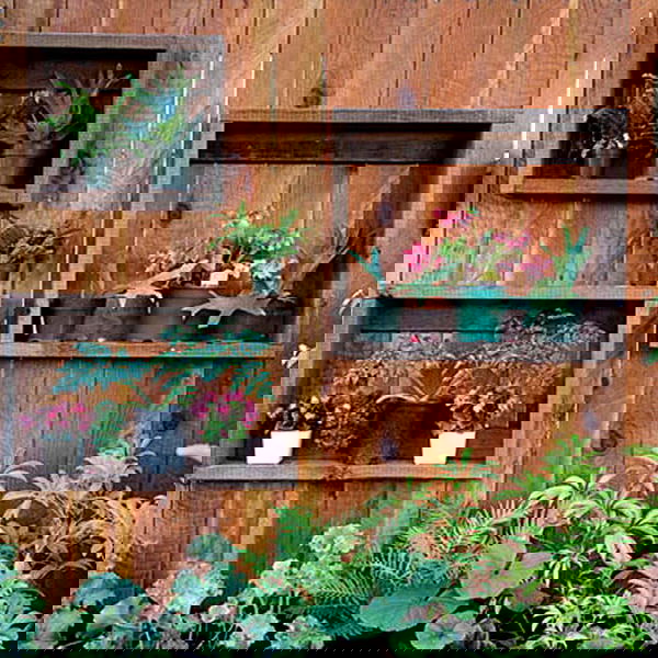 verticle garden in fence