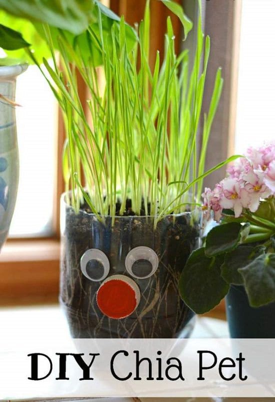 DIY Garden Craft Ideas