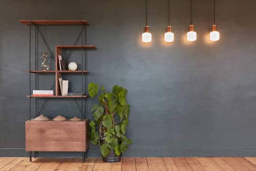 Best Insta Worthy Photos of House Plants 9