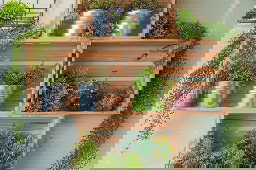 Plant Shelves Ideas 4