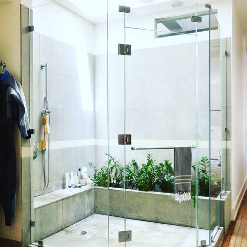 Pictures of Ferns in Bathroom 8