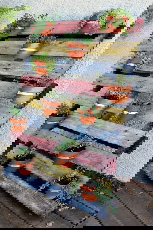 Rainbow Vertical Garden Ideas 6