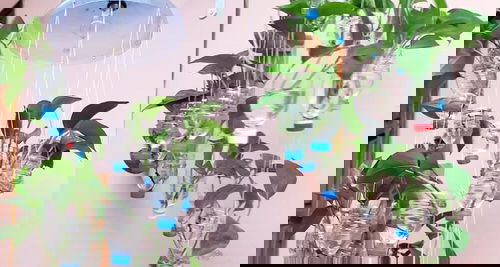 Make Your Own Hanging Garden 8