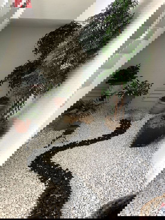 Top Indoor Rock Garden Ideas