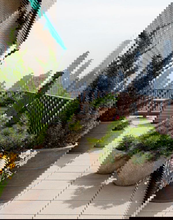 terrace garden tips 19