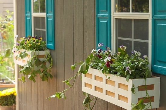 Beautiful Lattice Windowboxes