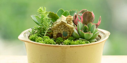 Smart Miniaturized Indoor Garden Projects 4