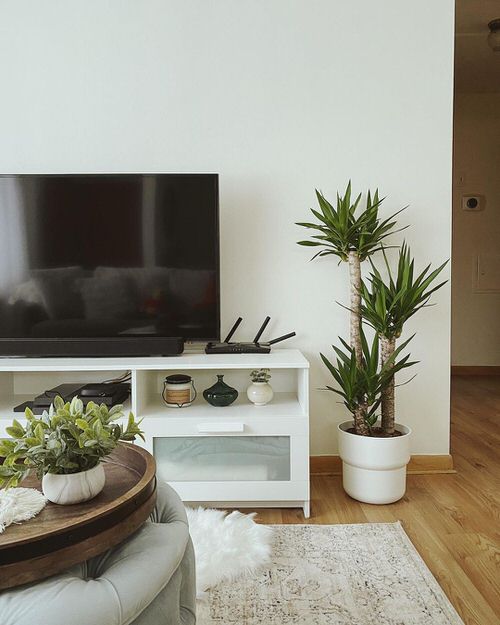 How IKEA Pots Change the Look of Indoor Plants 12