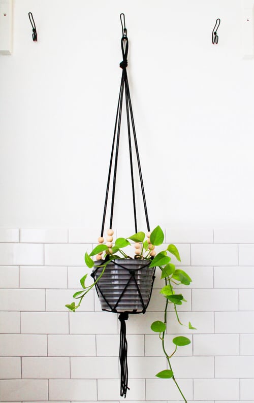 Wall Planter Macramé Ideas 6
