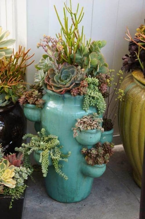 Succulent Porch Garden Ideas 6