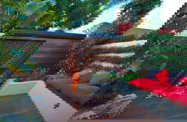 terrace garden tips 22