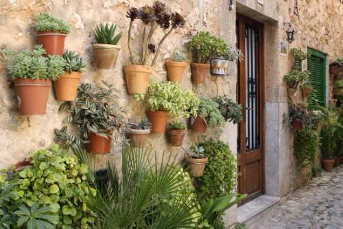 Patio Wall Decorating Ideas with Plants 8