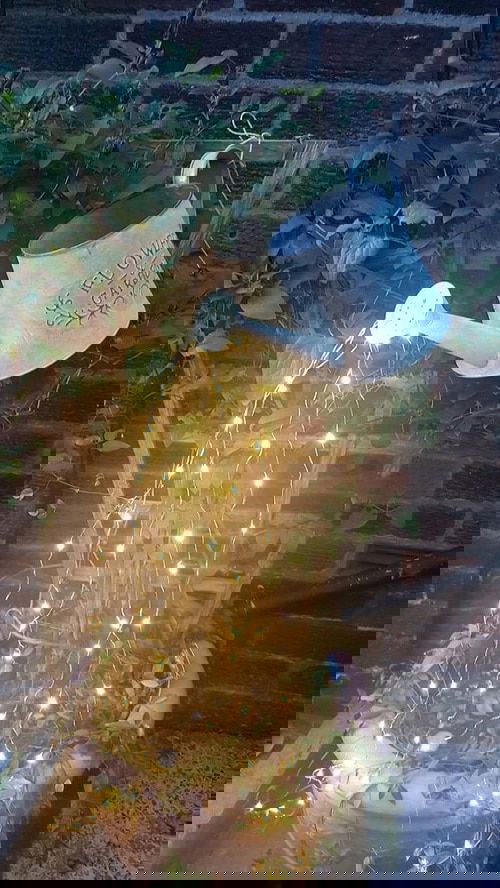 Insanely Instant Ideas to Decorate Your Garden 28