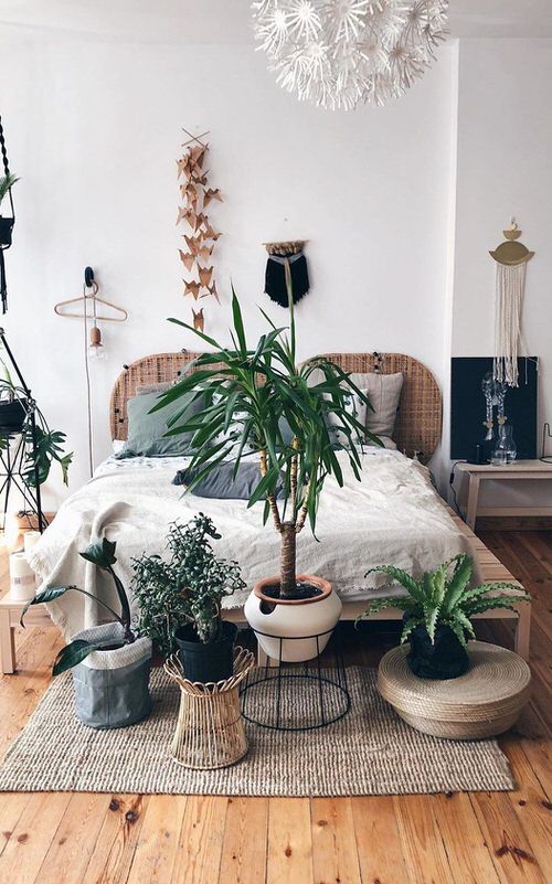 How IKEA Pots Change the Look of Indoor Plants 7