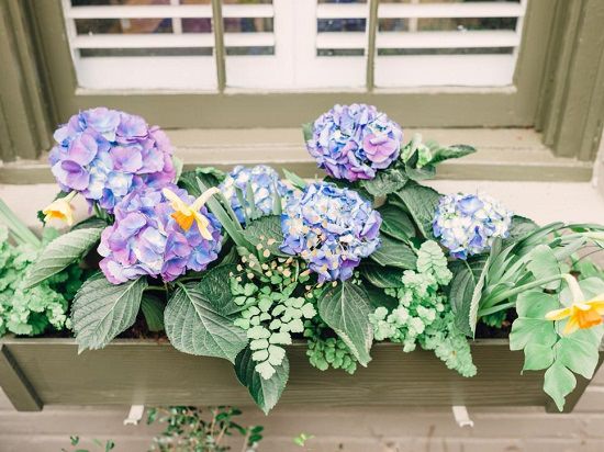 Window Box Planter Tips
