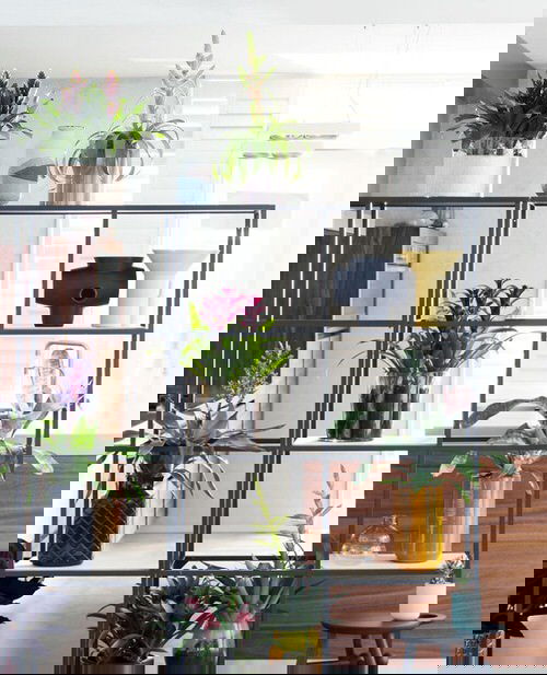 Tropical Indoor Plants Pictures and Ideas from Instagram 2