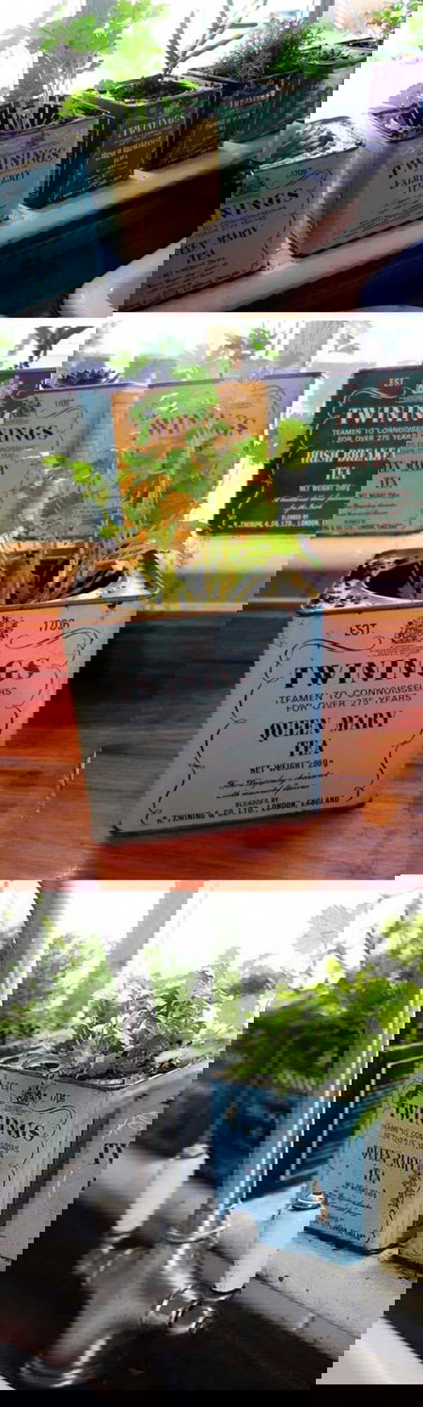 planter from common objects 12