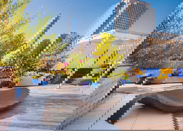 terrace garden tips 17